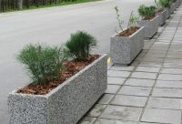 Kuva tuotteesta Piharuukku kantikas KB1033, Kuva 1